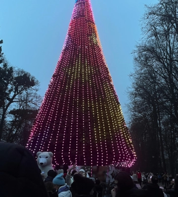 Скільки коштує сяяння ялинки у Франківську: коментар мера