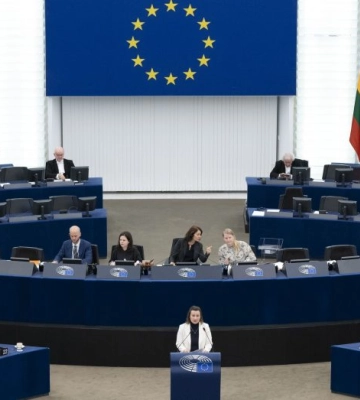 Україна повинна реалізувати на практиці зобов#039;язання щодо прав національних меншин – євродепутатка