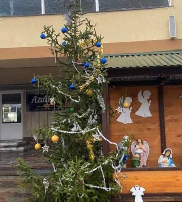 Найпопулярніша ялинка України: чому різдвяне дерево у Підволочиську наробило стільки галасу