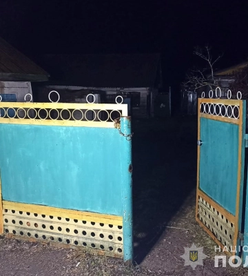 На Житомирщині затримано злочинця, який у балаклаві та з пістолетом пограбував молодика