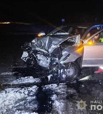 На Житомирщині нетвереза водійка вчинила ДТП та разом із пасажиром потрапила до лікарні. ФОТО