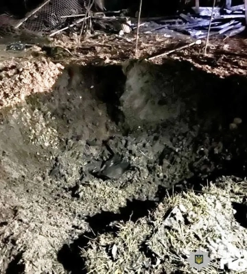 російські дрони атакували Чернігівщину: постраждала ферма з тваринами