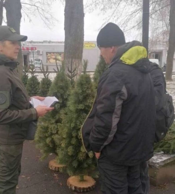 Операція «Новорічна ялинка»: на Волині виявили деревця-нелегали