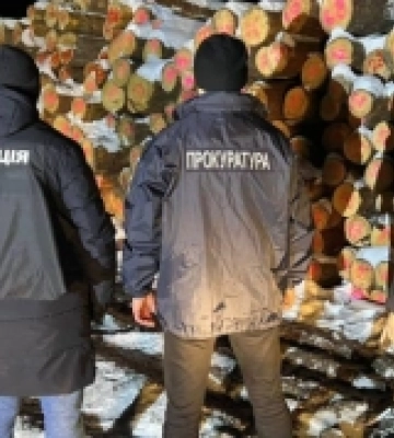 Передану волинськими прокурорами до АРМА арештовану деревину продали за 1,2 мільйона гривень