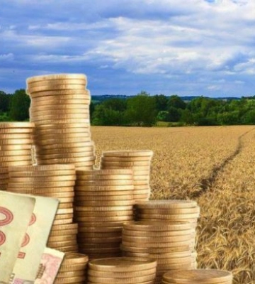 На Волині громади залучили понад 600 мільйонів гривень плати за землю