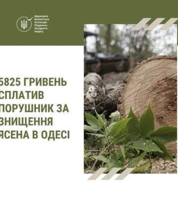 Жителя Одеси оштрафували за незаконно зрубане дерево