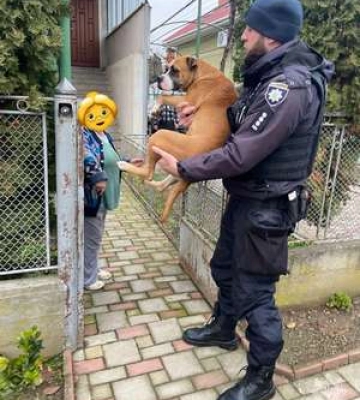В Ужгороді патрульні відшукали господарів собаки, який загубився