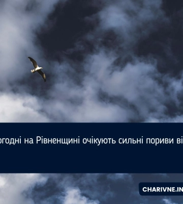 Сьогодні на Рівненщині  очікують сильні пориви вітру
