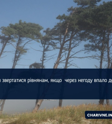 Куди звертатися рівнянам, якщо через негоду впало дерево?