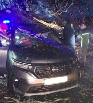 У Луцькому районі на авто впало дерево, затисло чоловіка