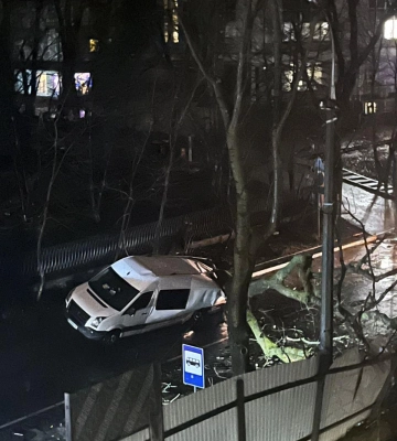 На вулиці Франка у Львові впало дерево на автомобіль. Рух повністю перекрито