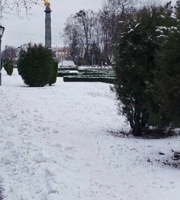 На Полтавщині прогнозують дощ та поривчастий вітер