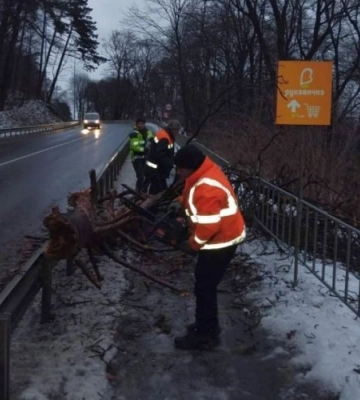 На Львівщині негода знеструмила більше 50 сіл