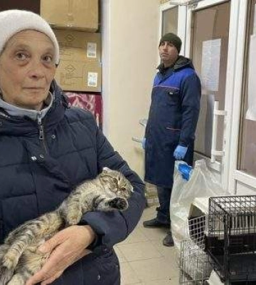 На Миколаївщині ветеринари безплатно стерилізують кішок та собак
