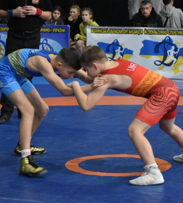 Спортсмени з Івано-Франківщини вибороли чотирнадцять медалей на Кубку України з вільної боротьби 