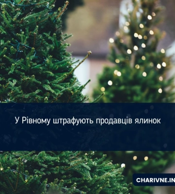 У Рівному штрафують продавців ялинок