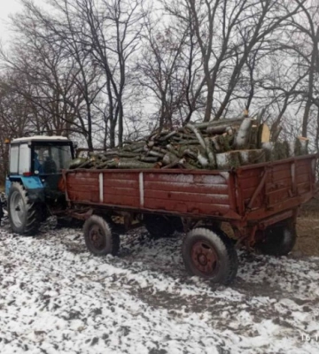 На Кіровоградщині виявлено незаконну вирубку лісу на півмільйона гривень
