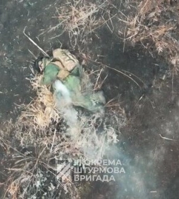Пілоти 3 ОШБр ліквідували групу російських піхотинців в посадці на Харківщині. ВIДЕО