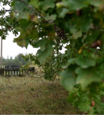 Двоє істориків відкликали свої підписи під комюніке про Волинську трагедію: що сталося