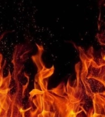 Українка врятувала шістьох дітей від пожежі