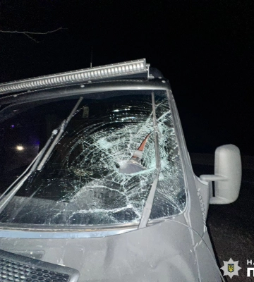 Поліція Миколаївщини просить допомоги у розслідуванні ДТП, в якій загинула жінка
