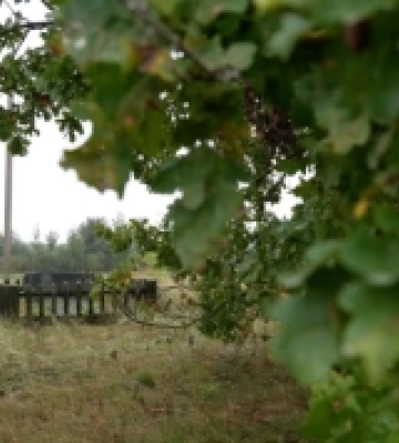 Професор Лесиного вишу відкликав свій підпис під комюніке про Волинську трагедію