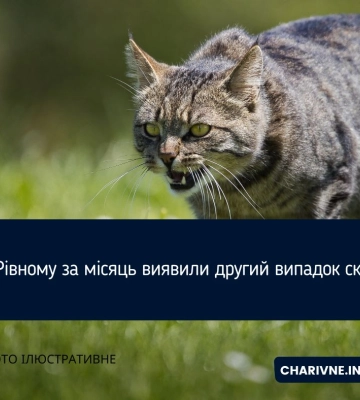 У Рівненській міській громаді за дев'ять місяців виявили 79 випадків туберкульозу та 72 випадків ВІЛ/СНІД