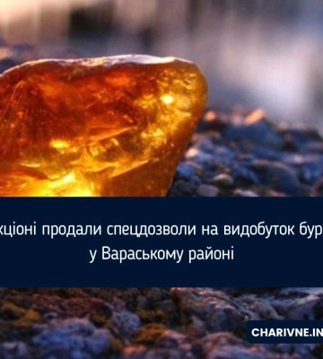 На аукціоні продали спецдозволи на видобуток бурштину у Вараському районі