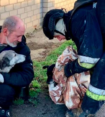 У Херсоні рятувальники 16 разів виїжджали на ліквідацію наслідків обстрілів. З вогню врятували 2 собак. ФОТО. ВІДЕО