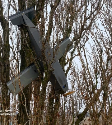 Застряг на дереві: на Київщині виявили ворожий дрон-приманку