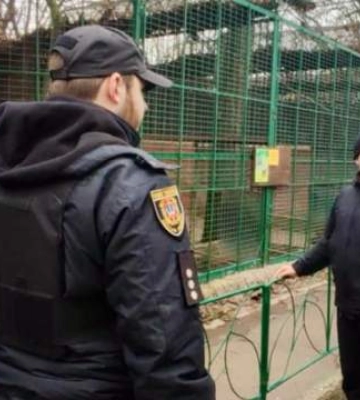 В Одессе леопард напал на сотрудника зоопарка: он серьезно ранен