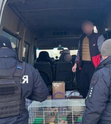 З Комишан на Херсонщині волонтери та поліцейські евакуювали двох людей та 10 собак