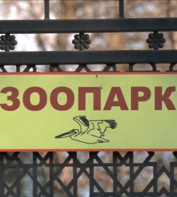 Леопард поранив співробітника зоопарку в Одесі