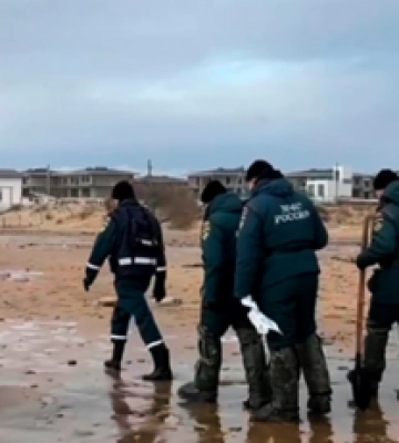 В оккупированной Керчи ввели режим ЧП после аварии танкеров и выброса мазута