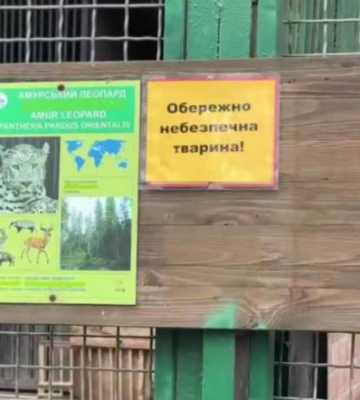 В одеському зоопарку леопард тяжко поранив працівника, тварину довелося вбити, - поліція