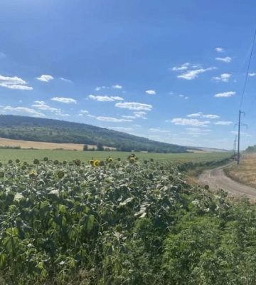 На Одещині підприємець самовільно зайняв земельну ділянку
