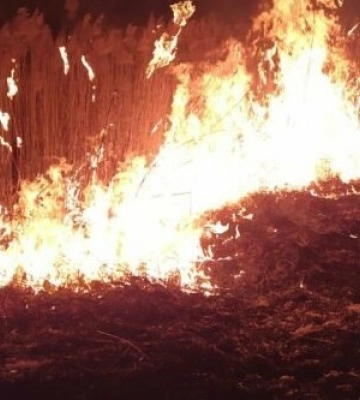 У двох районах Львівщини горіла суха трава: рятувальники ліквідували пожежі