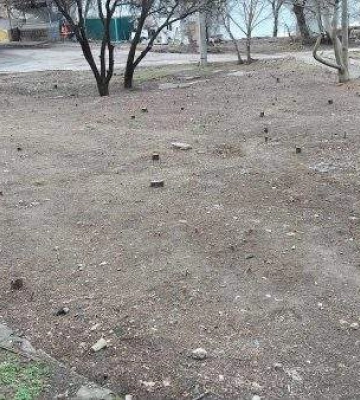 Знищено десятки дерев. Чим займається КП &quot;Миколаївські парки&quot;?