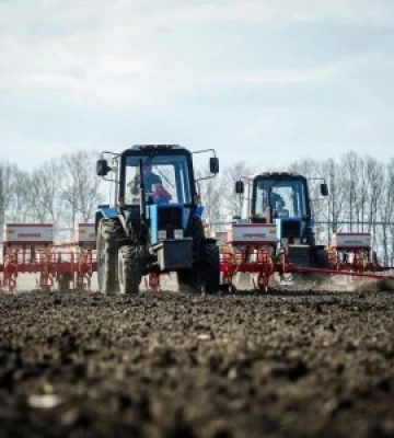 Під урожай наступного року в Закарпатській області провели посів озимих зернових на 25,9 тис. га