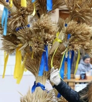 Головного різдвяного дідуха встановили у Львові напередодні свята, - ВІДЕО