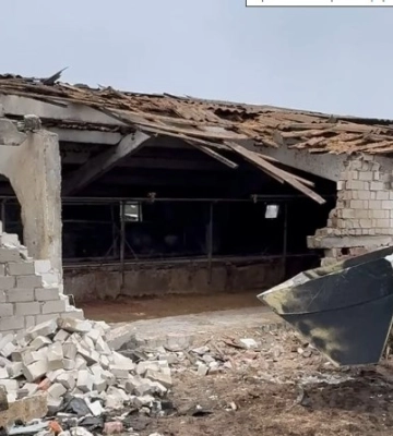 Удар по фермі в Кролевці: сім корів загинули, ще сім поранених