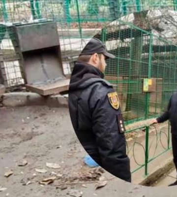 В Одеському зоопарку немає швидкодіючих транквілізаторів для тварин.