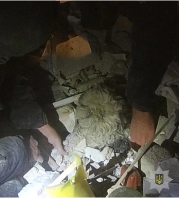 У Кривому Розі поліцейські та представники ДСНС врятували собаку з під завалів. З’явилося відео