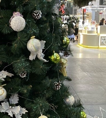 У Дніпрі повідомили про замінування торгівельних центрів: деталі