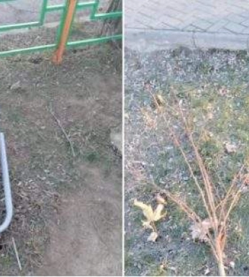Комунальники фіксують акти вандалізму в миколаївських парках