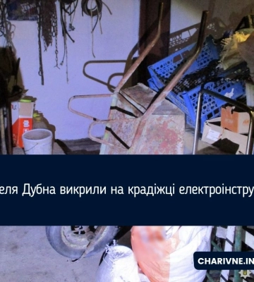 Жителя Дубна викрили на крадіжці електроінструментів