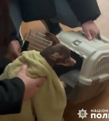 У Києві чоловік знущався із собаки у присутності дитини: правоохоронці відкрили кримінальне провадження