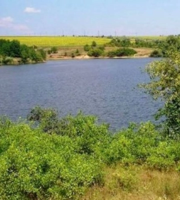 Землі природно-заповідного фонду на Кіролвоградщині повернуть у державну власність