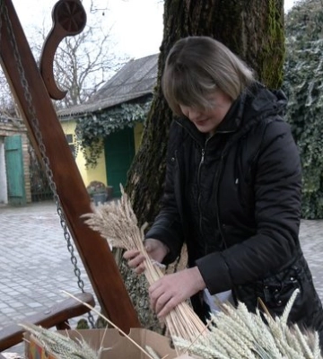 Майстриня з Волині 15 років поспіль плете дідухи (Відео)