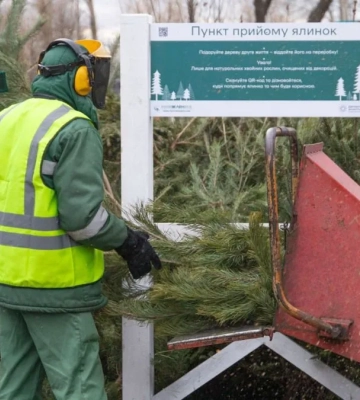 Із початку січня в Києві запрацюють 78 пунктів прийому новорічних дерев